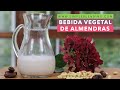 LECHE DE ALMENDRAS CASERA | Receta de leche de almendras con dátil | Bebida vegetal fácil