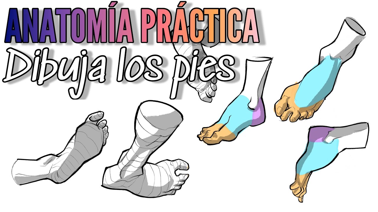 Anatomía humana / aprende a dibujar los pies / curso de dibujo / aprende a dibujar / dibujo