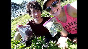 UAVs in Precision Agriculture