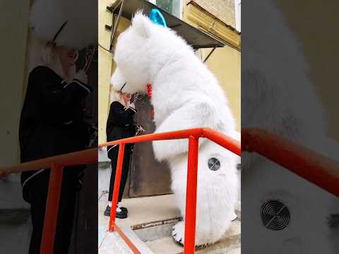 Поздравили скромную именинницу с днём рождения 🤩🥳😍 #уфа #уфимскиймишка