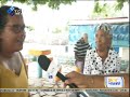 Show da Manhã:  a preservação de árvore de "tambarina" em Porto Novo, Santo Antão