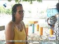 Show da Manhã:  a preservação de árvore de "tambarina" em Porto Novo, Santo Antão