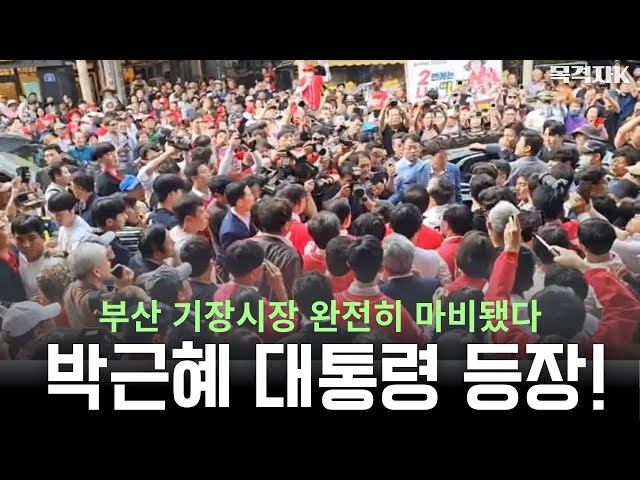 박근혜 대통령 박민식 박형준 전격 지원! 판 한 방에 뒤집었다!