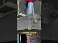 Simple Tricks to Make Perfect Cement Corners.#shorts #construction #shortvideo #satisfying #fyp