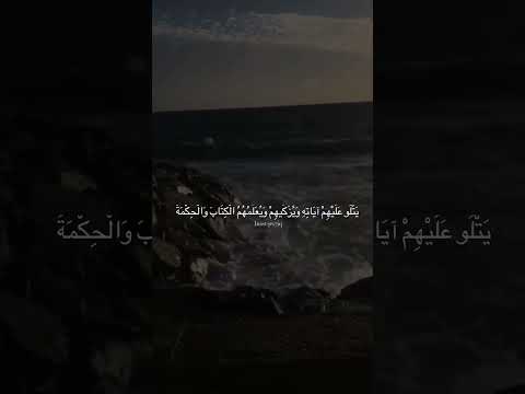 ي ت ل و عليهم آياته و ي ز ك يه م و ي ع ل م ه م الكتاب و ال ح ك م ة سورة البقرة هاجر علي