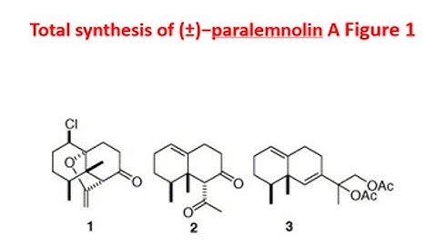 Total synthesis of (±)−paralemnolin A
