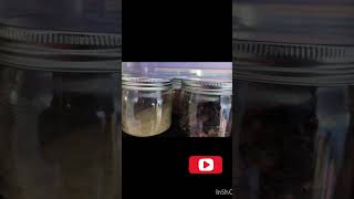 Masala Jar Setup in Kitchen||viralvideo ytshorts
