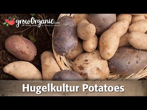 hugelkultur proof that it works youtube hugelkultur proof that it works
