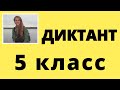 Диктант по русскому языку 5 класс. ЖАРКИЙ ДЕНЬ