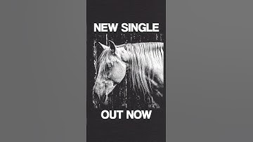 Our song "Pale Horse" is the darkest one yet.