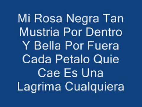 Porta-Mi Rosa Negra (Letra) - YouTube