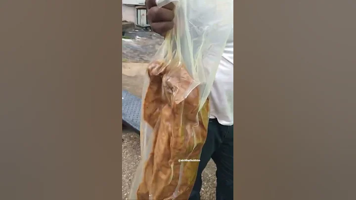 They found multiple cats in vacuum seal bags 🤢￼ - DayDayNews