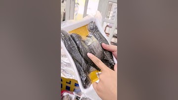 KHÔ CÁ MỚI LÊN ĐỂ GỬI ĐI NƯỚC NGOÀI: KHÔ CÁ DỨA, KHÔ CÁ SẶC, KHÔ CÁ ĐÙ, MỰC 1 NẮNG,…