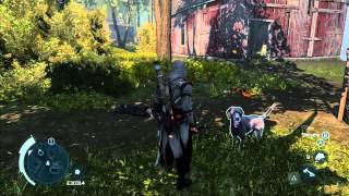 Assassin's Creed III - Flawless Victory