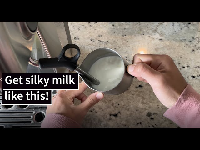 5 Steps How to Steam the Perfect Barista Style Milk