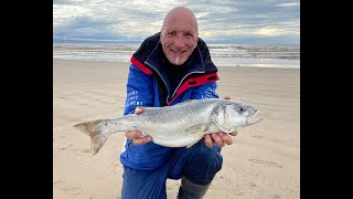 Bass Bonanza Brean Beach Sea Fishing The Bristol Channel Shore Spring 2021