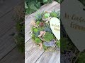 Trauergesteck Kugel mit Sukkulenten 🌿  Grabschmuck &amp; Erinnerung