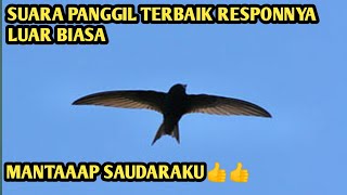 suara panggil terbaik responnya luar biasa