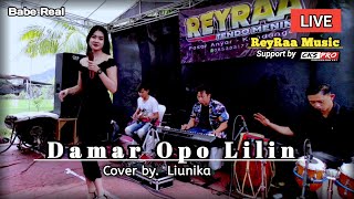 DAMAR OPO LILIN - Cover by. Liunika - Live ReyRaa Music - CKS Pro - Babe Real @babereal241