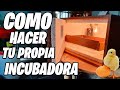 Como HACER Una INCUBADORA Casera ( 100% FIABLE ) | Todo Lo Que Debes De Saber | La Huerta De Alber