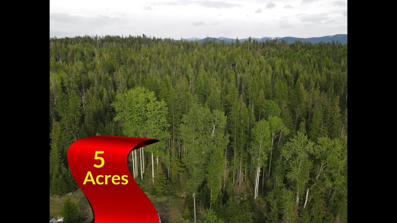 North Idaho Real Estate YouTube