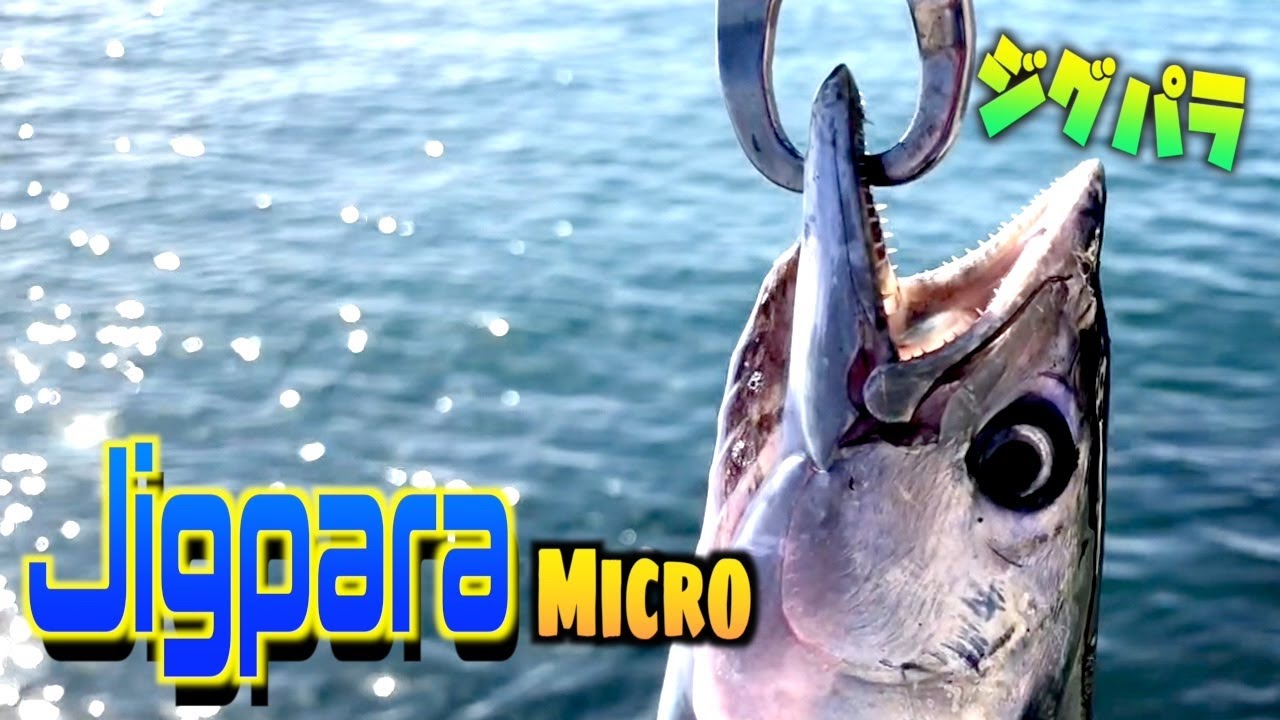 Major Craft Jigpara Micro] Catch Bonito [Micro Shore Jigging] 