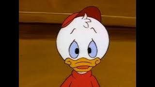 Jungle Duck-5
