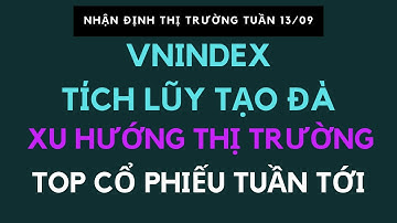 NHẬN ĐỊNH THỊ TRƯỜNG TUẦN 13/09 :Xu hướng thị trường tuần tới . Lựa chọn cổ phiếu khỏe .