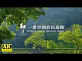 【和み】一乗谷朝倉氏遺跡｜美しい庭園と歴史ある建物がノスタルジックな気持ちになり心を癒してくれます。／WABISABI（4K映像）