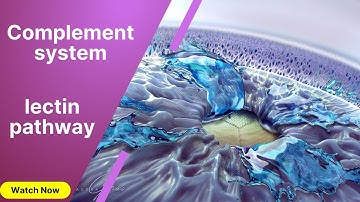 Immunology | Lectin pathway of Complement system | Innate immunity