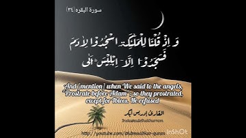 سورة البقره (٣٤) بصوت الشيخ إدريس أبكر/Surah Baqarah Sheikh Idress Abkar @idressabkar-quran