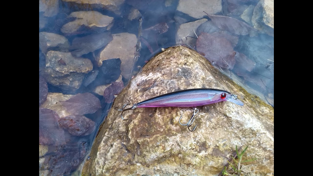 110mm minnow YouTube