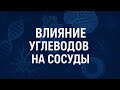 Как углеводы убивают сосуды | Влияние сахара и инсулина на сердце и мозг