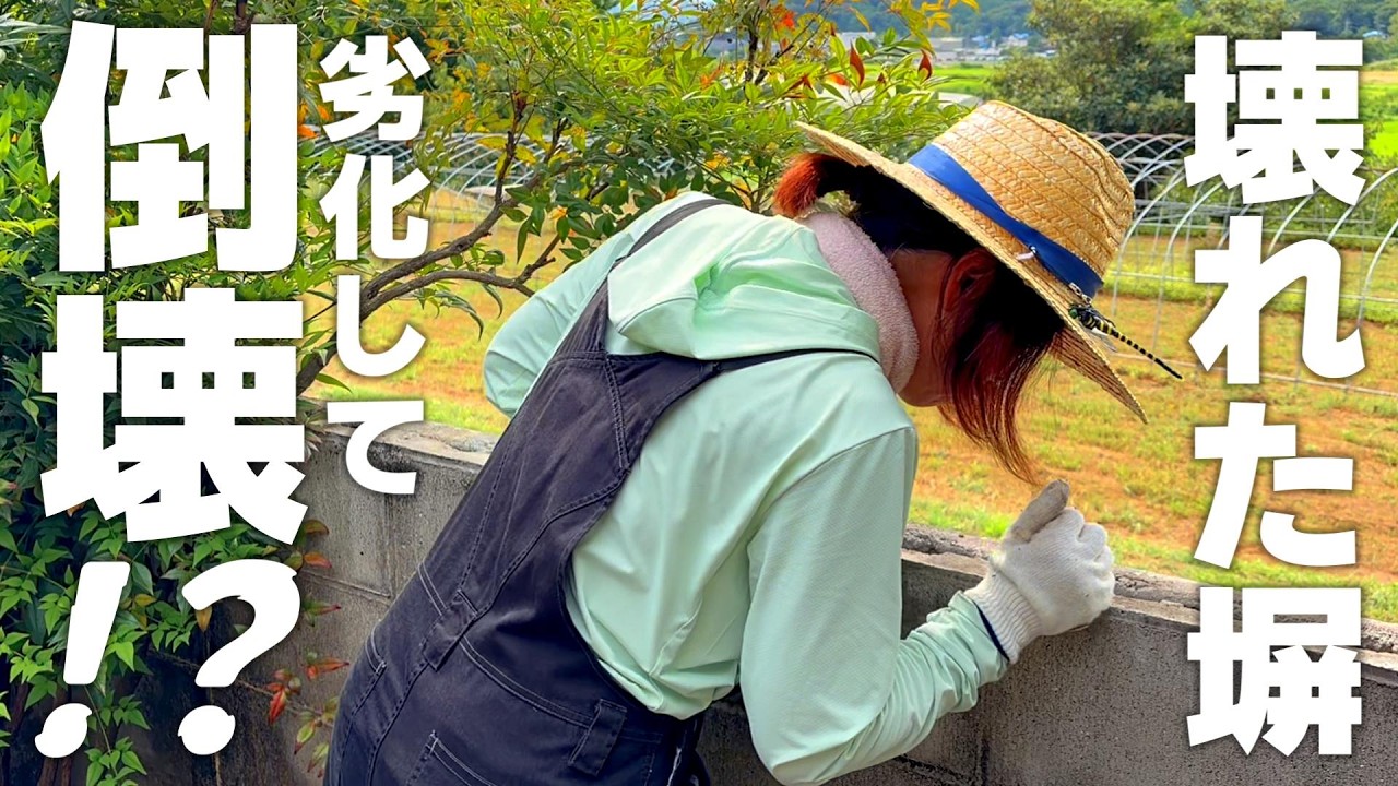 【初心者DIY】劣化して倒壊?ボウフラ沸く前にブロック塀を補修する【がれきの片づけとモルタル補修】