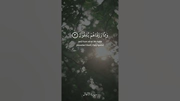 إنما المؤمنون الذين إذا ذكر الله وجلت قلوبهم [ الأنفال: ٢ - ٤ ] القارئ نورالدين سليم نوري
