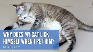 WHY DOES MY CAT LICK HIMSELF WHEN I PET HIM? by Catvills 577 views 2 years ago 36 seconds