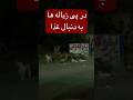 سگی که فقط به زنده ماندن فکر می کرد در پی آشغال ها به دنبال غذا سگی که فقط به زنده ماندن فکر می کرد در پی آشغال ها به دنبال غذا