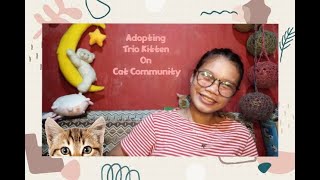 Adopting Trio Kitten On Cat Community (Vlogmas 1)