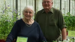 Chelsea Flower Show&#39;s Ultimate Gold Medal Winning Family