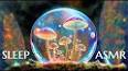 The Fascinating World of Mushrooms: A Fungal Odyssey ile ilgili video
