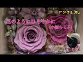 デジタル流し【 花のようにひそやかに(小柳ルミ子) 】