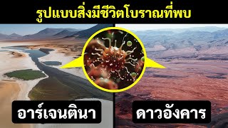 นักวิทยาศาสตร์ค้นพบโลกยุคก่อนประวัติศาสตร์สุดลึกลับบนโลก