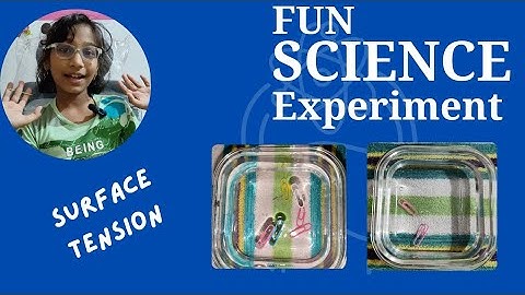 Floating Pins On Water | Surface Tension Experiment | Science Experiment | Chitti | LMES