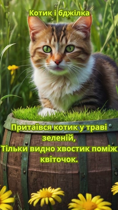Котик і бджілка #киця #котик #милікоти #коти #весна #кицюня #кошенятко ...