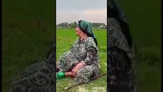 خواننده ننه گیلانی موسیقی جابر بهارمست