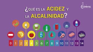 ¿Qué es ACIDEZ y ALCALINIDAD?