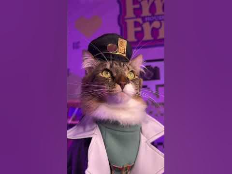 Джо Джо Кот #кошка #funny #cat #котики #джоджо - YouTube