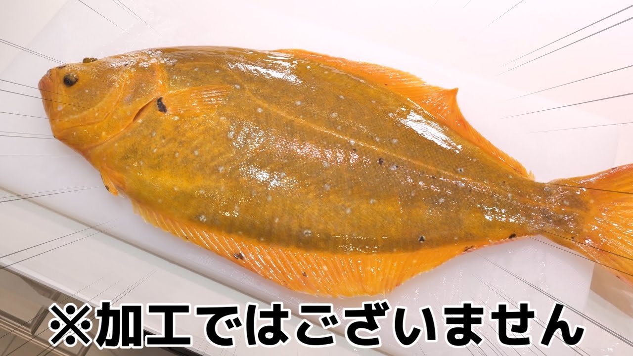 【ニュース】水族館さんごめんなさい。