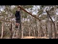 Australian High Country Cabin / Shack Build - Raise the Main Roof beam and frame the deck joists.