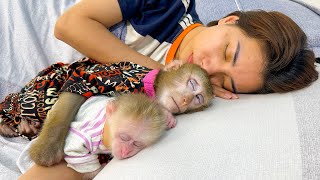 Monkey Kaka and Monkey Mit sleeping next to mom are extremely cute